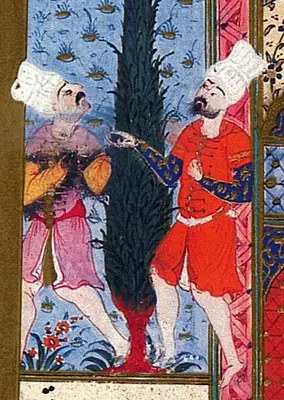 Ârifî, Süleymannâme (1558), Tek yaprak