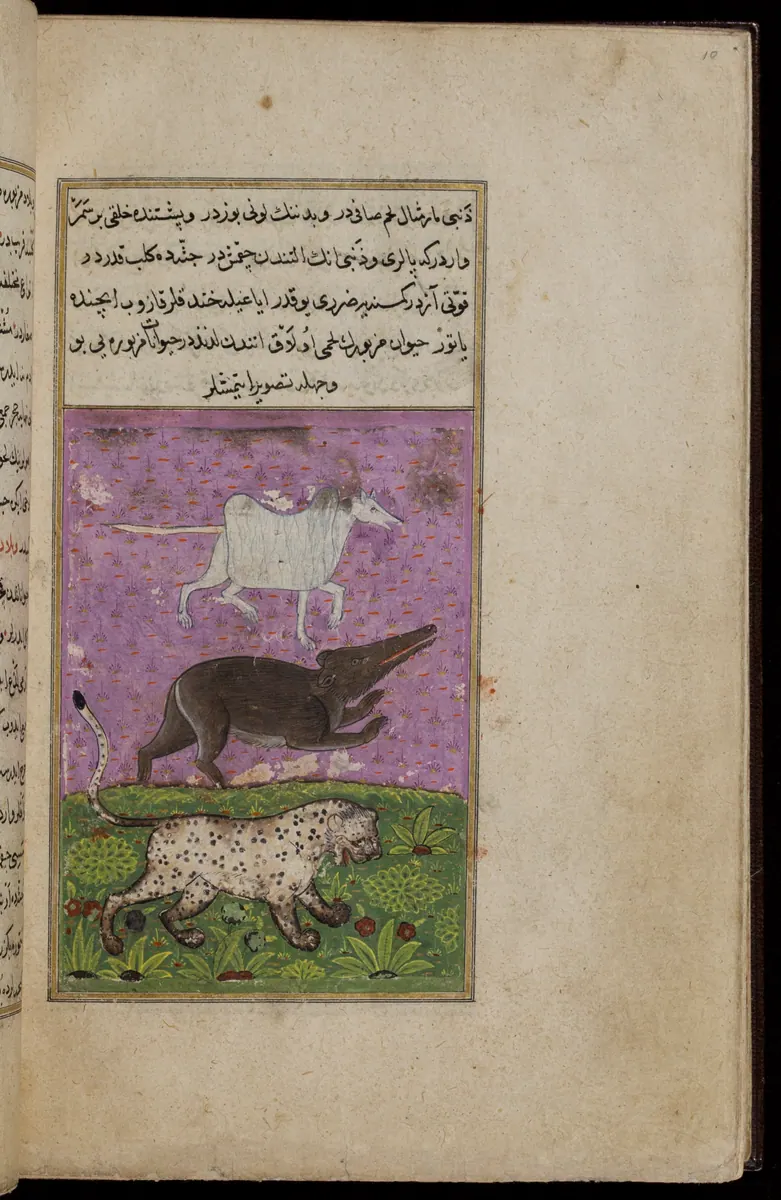 Târîh-i Hind-i Garbî (Târîh-i Yeni Dünyâ / Hadîs-i Nev), fol. acilim-217. Newberry Library