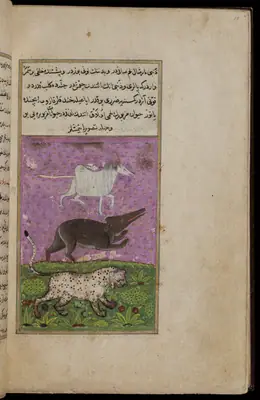 Târîh-i Hind-i Garbî (Târîh-i Yeni Dünyâ / Hadîs-i Nev), fol. acilim-217