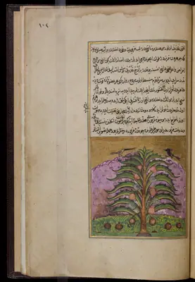 Târîh-i Hind-i Garbî (Târîh-i Yeni Dünyâ / Hadîs-i Nev), fol. acilim-224