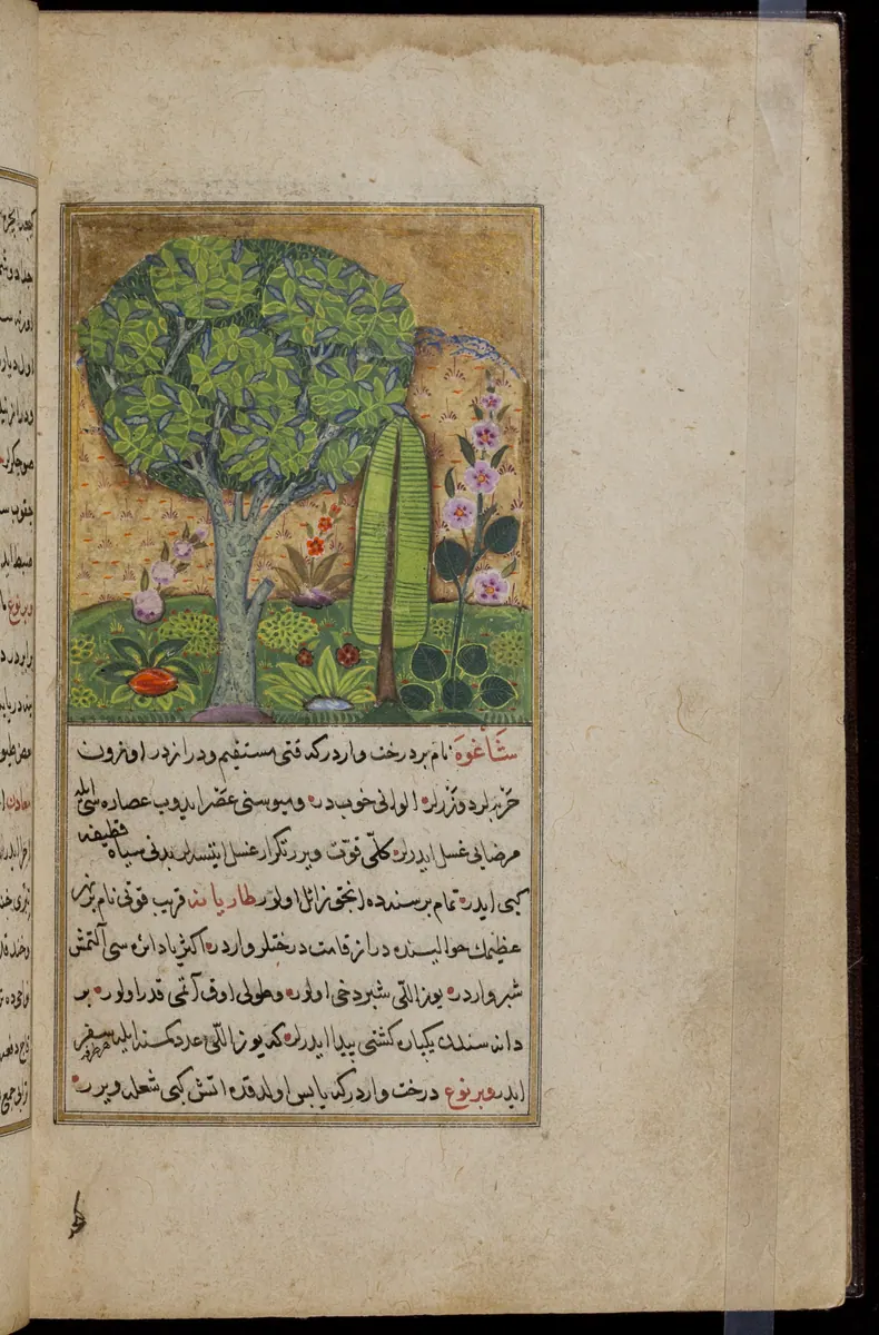 Târîh-i Hind-i Garbî (Târîh-i Yeni Dünyâ / Hadîs-i Nev), fol. acilim-227. Newberry Library