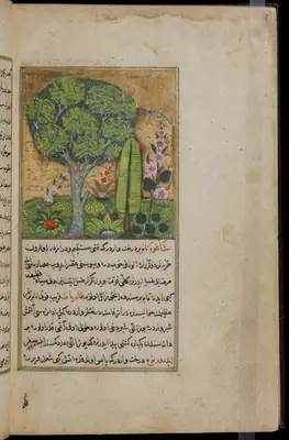 Târîh-i Hind-i Garbî (Târîh-i Yeni Dünyâ / Hadîs-i Nev), fol. acilim-227