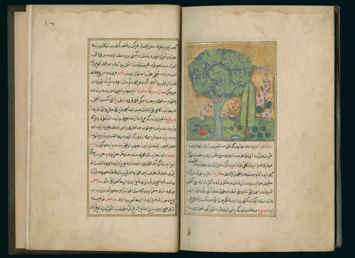 Târîh-i Hind-i Garbî (Târîh-i Yeni Dünyâ / Hadîs-i Nev), fol. master-pg004-005-banana-tree. Newberry Library