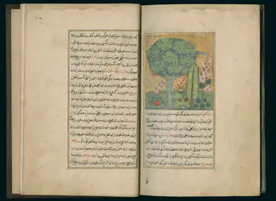 Târîh-i Hind-i Garbî (Târîh-i Yeni Dünyâ / Hadîs-i Nev), fol. master-pg004-005-banana-tree