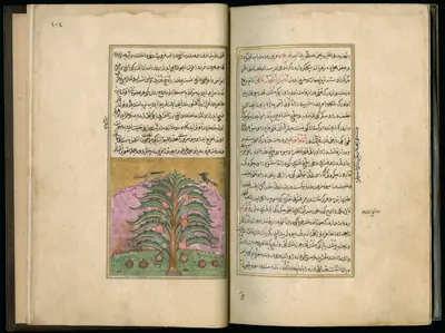 Târîh-i Hind-i Garbî (Târîh-i Yeni Dünyâ / Hadîs-i Nev), fol. master-pg006-007-coconut-tree