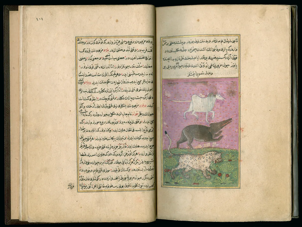 Târîh-i Hind-i Garbî (Târîh-i Yeni Dünyâ / Hadîs-i Nev), fol. master-pg009-010-animals. Newberry Library