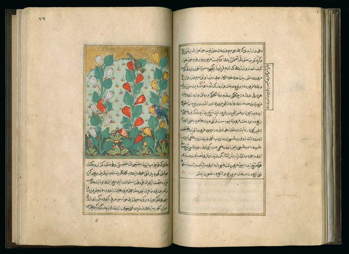 Târîh-i Hind-i Garbî (Târîh-i Yeni Dünyâ / Hadîs-i Nev), fol. master-pg037-038-flowers. Newberry Library