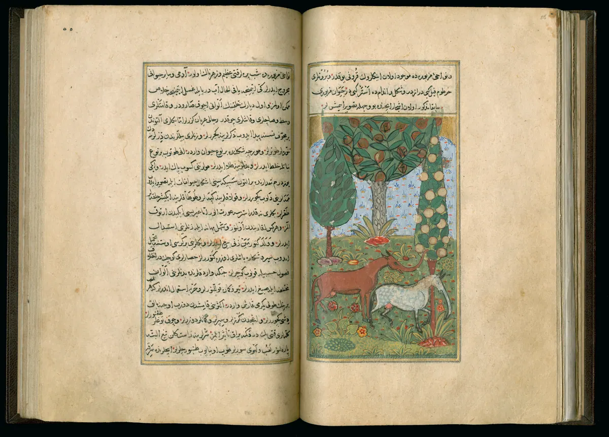 Târîh-i Hind-i Garbî (Târîh-i Yeni Dünyâ / Hadîs-i Nev), fol. master-pg055-056-animals. Newberry Library