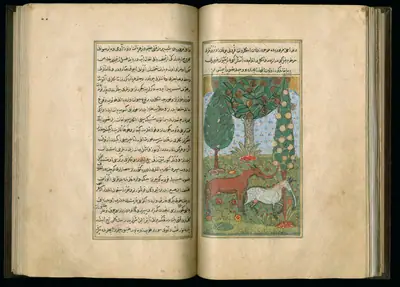 Târîh-i Hind-i Garbî (Târîh-i Yeni Dünyâ / Hadîs-i Nev), fol. master-pg055-056-animals
