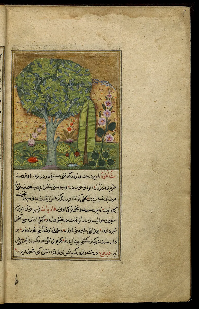 Târîh-i Hind-i Garbî (Târîh-i Yeni Dünyâ / Hadîs-i Nev), fol. view012. Newberry Library