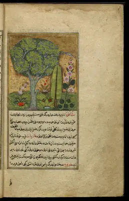 Târîh-i Hind-i Garbî (Târîh-i Yeni Dünyâ / Hadîs-i Nev), fol. view012