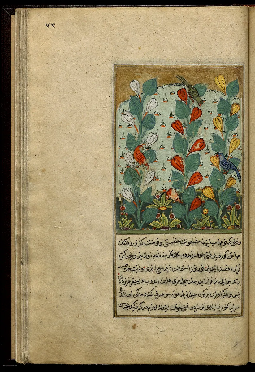 Târîh-i Hind-i Garbî (Târîh-i Yeni Dünyâ / Hadîs-i Nev), fol. view077. Newberry Library