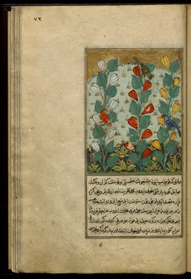 Târîh-i Hind-i Garbî (Târîh-i Yeni Dünyâ / Hadîs-i Nev), fol. view077
