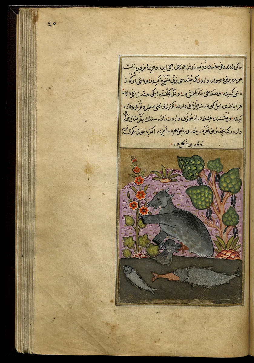 Târîh-i Hind-i Garbî (Târîh-i Yeni Dünyâ / Hadîs-i Nev), fol. view133. Newberry Library