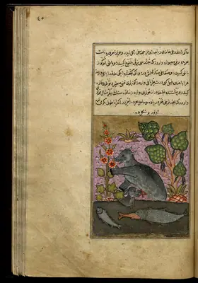 Târîh-i Hind-i Garbî (Târîh-i Yeni Dünyâ / Hadîs-i Nev), fol. view133