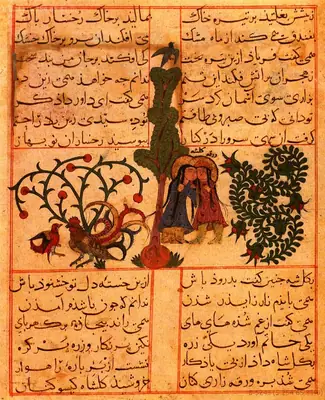 m35 · Varka ile Gülşah 1 · 800×985