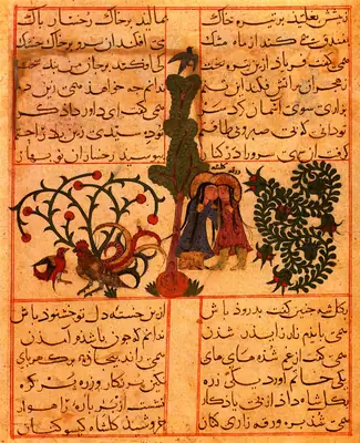 m35 · VarkaAndGulshah · 800×985
