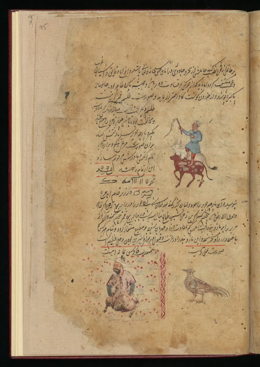 Wellcome MS Persian 373, Görsel 42. Wellcome Collection