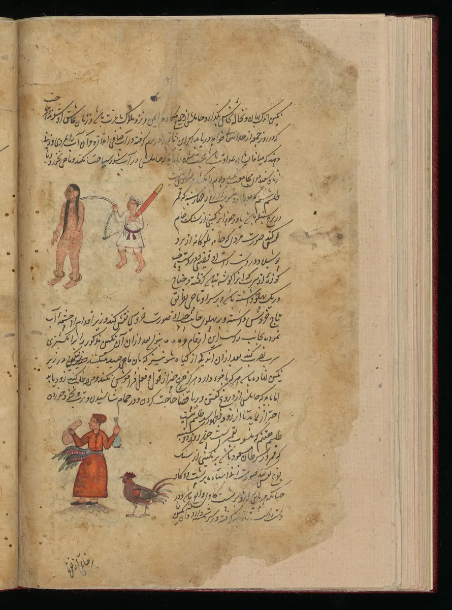 Wellcome MS Persian 373, Görsel 43. Wellcome Collection