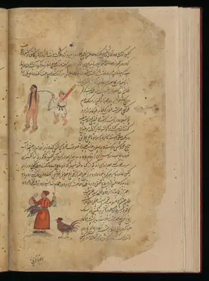 Wellcome MS Persian 373, Görsel 43