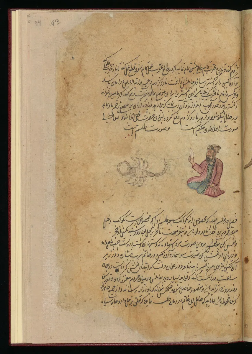 Wellcome MS Persian 373, Görsel 46. Wellcome Collection
