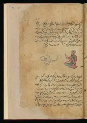 Wellcome MS Persian 373, Görsel 46