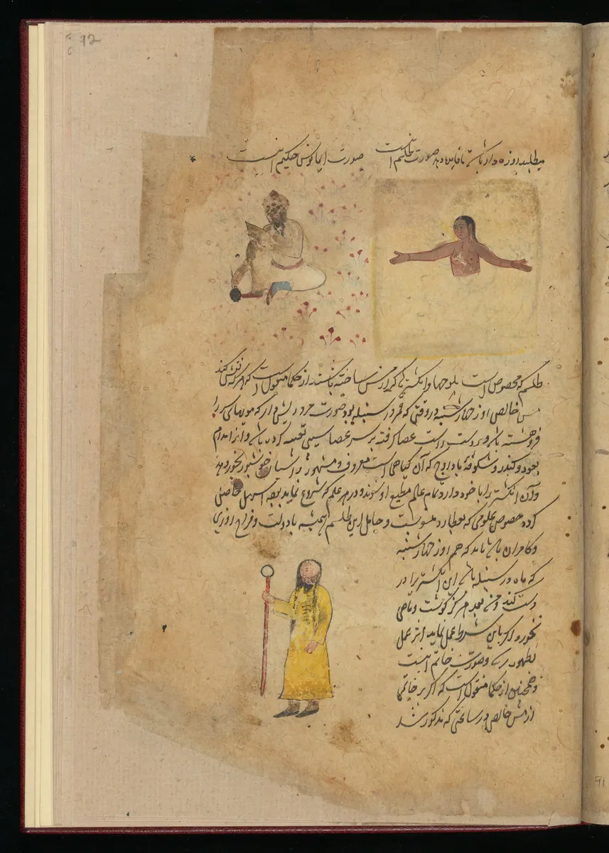 Wellcome MS Persian 373, Görsel 48. Wellcome Collection