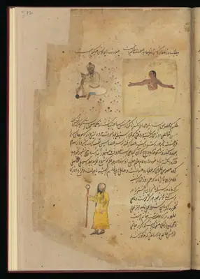 Wellcome MS Persian 373, Görsel 48