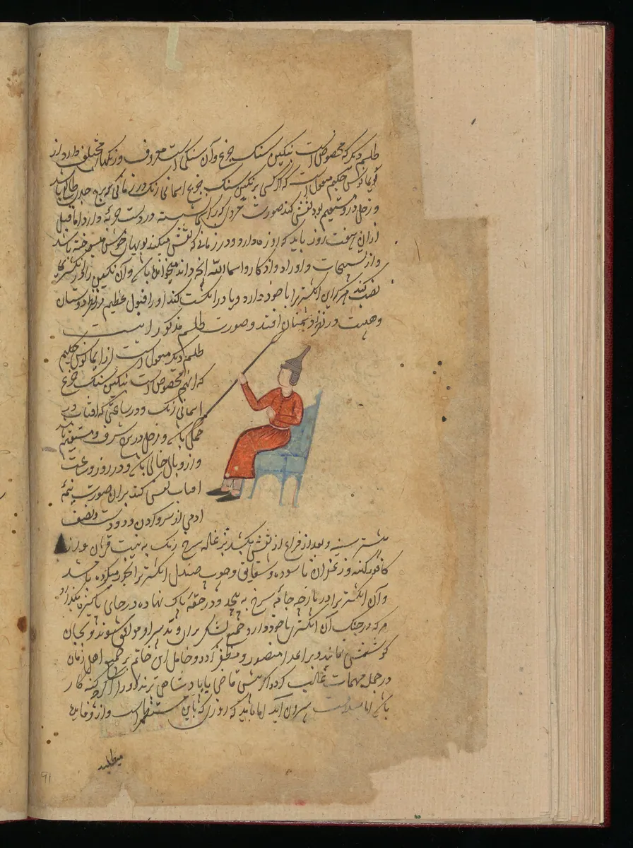 Wellcome MS Persian 373, Görsel 49. Wellcome Collection