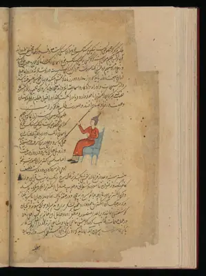 Wellcome MS Persian 373, Görsel 49
