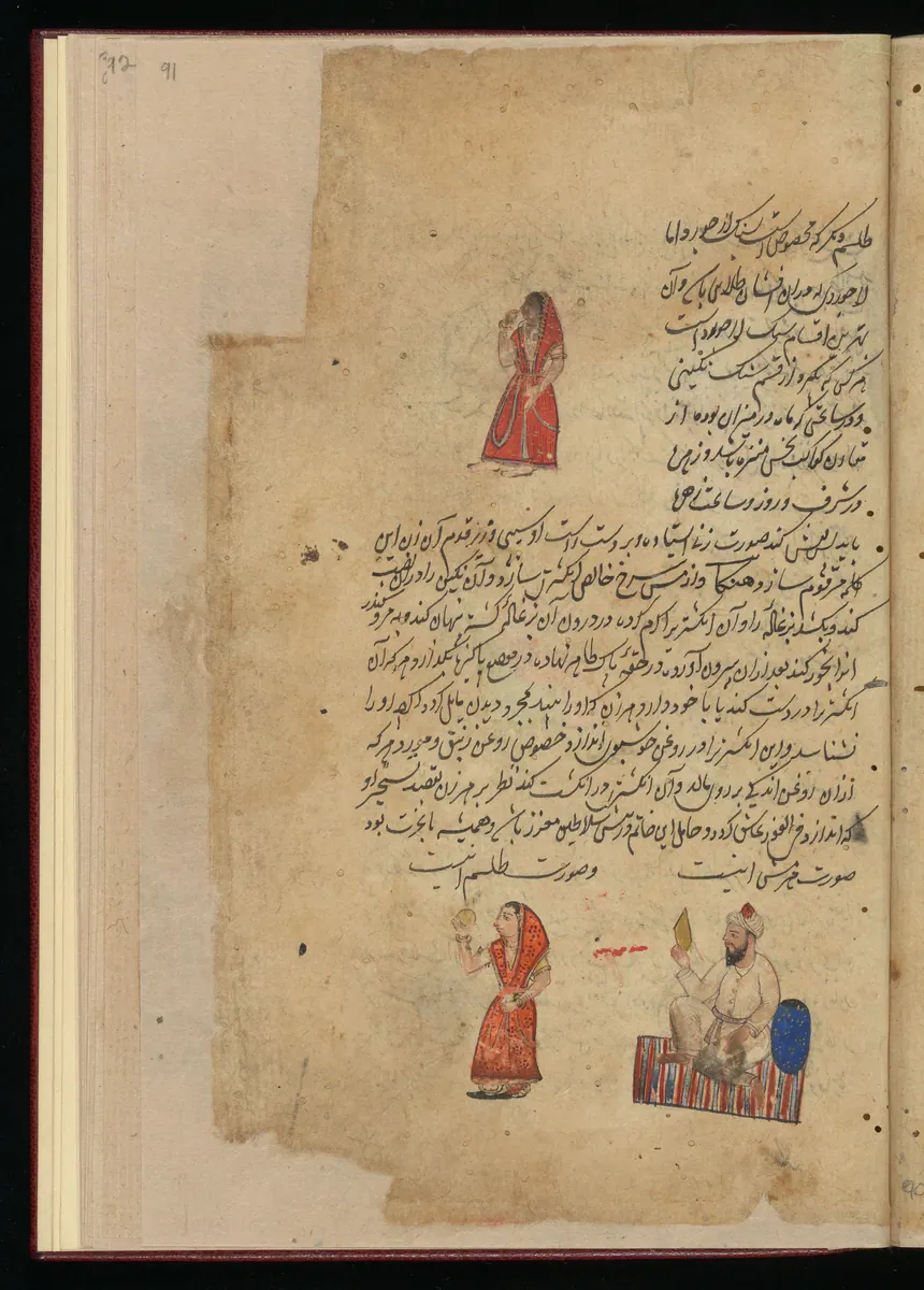 Wellcome MS Persian 373, Görsel 50. Wellcome Collection