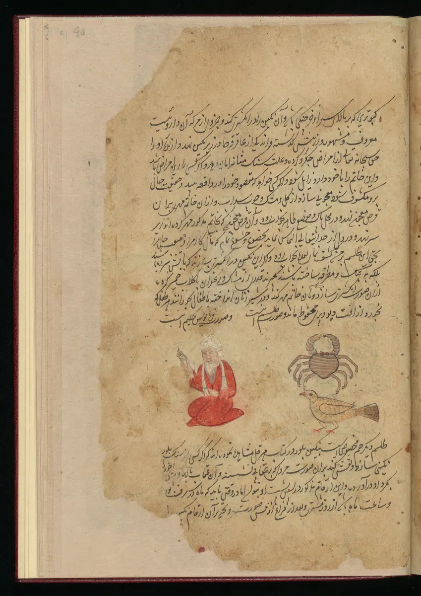 Wellcome MS Persian 373, Görsel 52. Wellcome Collection