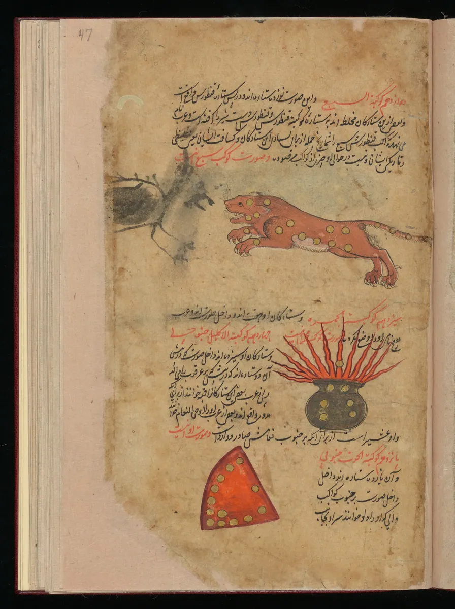 Wellcome MS Persian 373, Görsel 140. Wellcome Collection