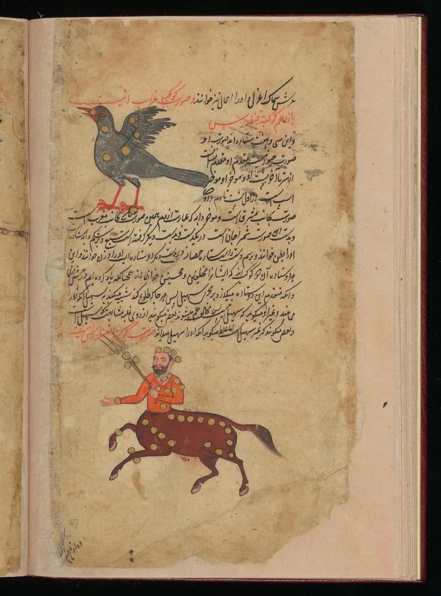 Wellcome MS Persian 373, Görsel 141. Wellcome Collection