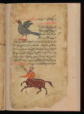 Wellcome MS Persian 373, Görsel 141