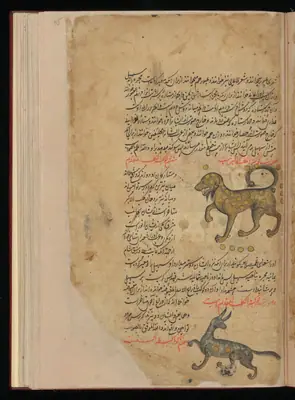 Wellcome MS Persian 373, Görsel 144