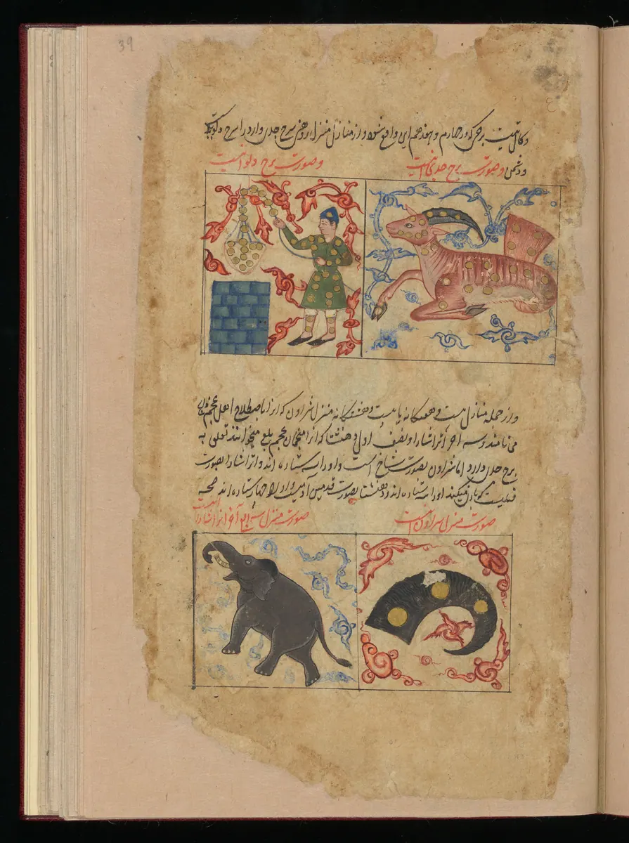 Wellcome MS Persian 373, Görsel 156. Wellcome Collection