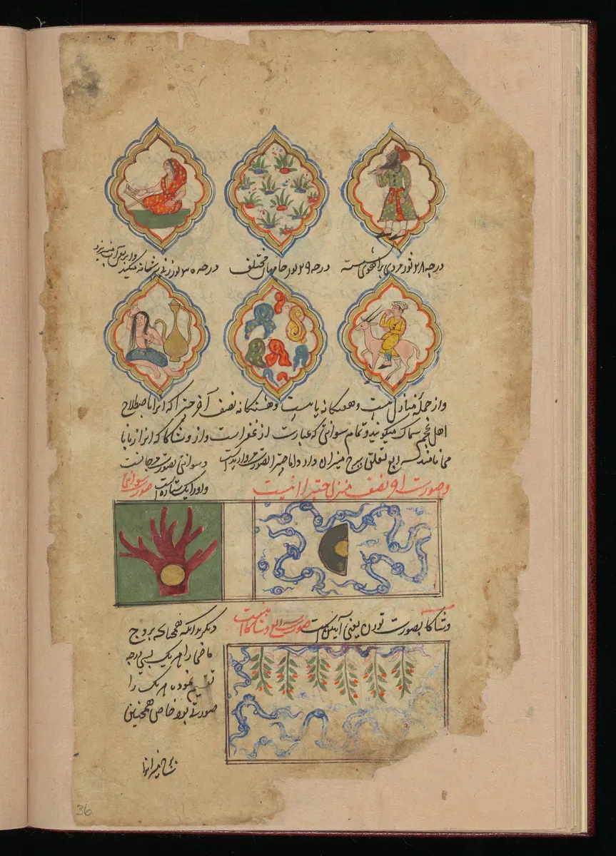 Wellcome MS Persian 373, Görsel 161. Wellcome Collection