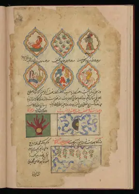 Wellcome MS Persian 373, Görsel 161