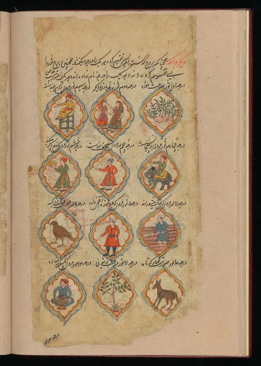 Wellcome MS Persian 373, Görsel 163. Wellcome Collection