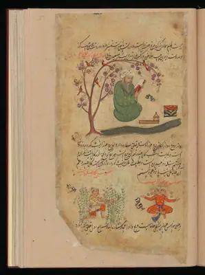 Wellcome MS Persian 373, Görsel 180