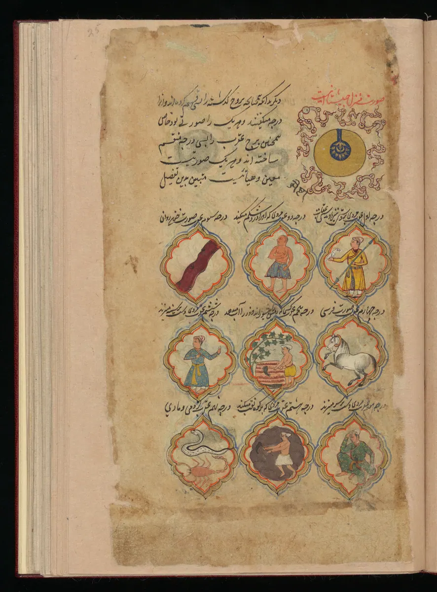 Wellcome MS Persian 373, Görsel 184. Wellcome Collection
