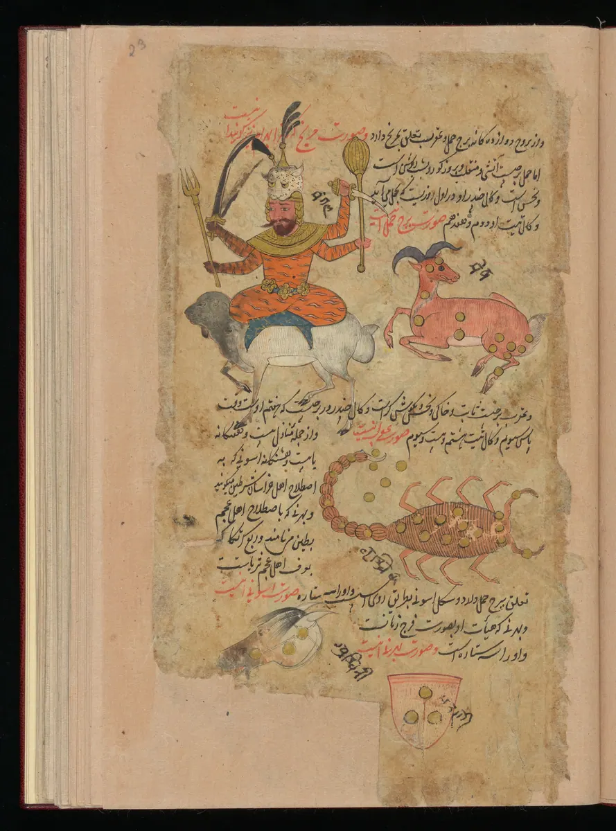 Wellcome MS Persian 373, Görsel 188. Wellcome Collection