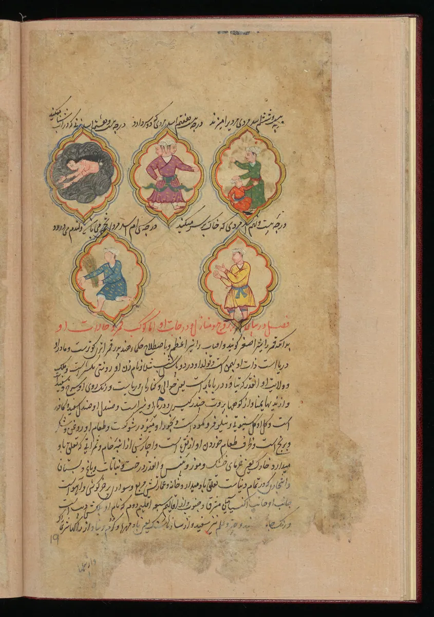 Wellcome MS Persian 373, Görsel 195. Wellcome Collection