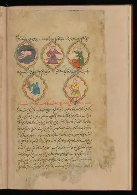 Wellcome MS Persian 373, Görsel 195