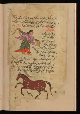 Wellcome MS Persian 373, Görsel 201