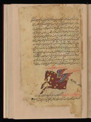 Wellcome MS Persian 373, Görsel 202