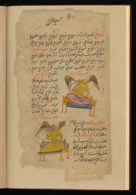 Wellcome MS Persian 373, Görsel 231